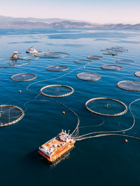 Drone View Fish Farms in the Sea